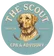 The Scout CPA & Advisory PLLC