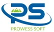 Prowess Software Services