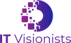 IT Visionists