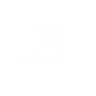 ECOM CPA