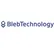 Bleb Technology