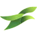 Plocca