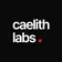 Caelith Labs