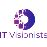 IT Visionists
