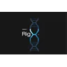 RigX Digital (2DNAC)