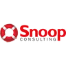 Snoop Consulting