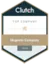 Clutch — Top Magento Company 2024