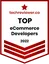 Techreviewer — Top eCommerce Developers 2022